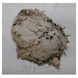 Vintage unoccupied hornet's nest, 11' tall