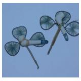 2 vintage hand woven St. Patrick