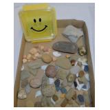 Fossils - Granite - River rocks