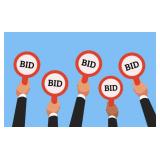 Online Real Estate Auction