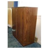 Media storage cabinet