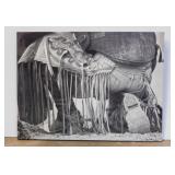 2 stretched canvas Cowboy prints - Metal roping