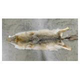 Tanned coyote fur hide