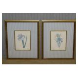 2 botanical Iris flower prints, framed, 18" x 22"