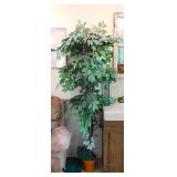 Faux Ficus tree in plastic planter, 70" tall