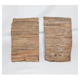 Polished petrified wood bookends, 5.5" tall