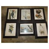 6 bird prints w/ frames