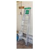 Werner aluminum 6' step ladder