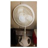 3 fans