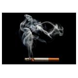 This is a smoke friendly home