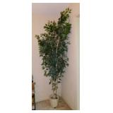 Lighted faux ficus tree in planter, 7' tall