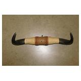 Mounted steer horns on wooden base w/ leather &