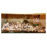 Small seashells: Tiger cowries - Conch shells,