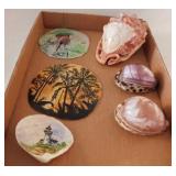 Seashells: Handcarved cameo conch shell marked
