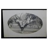 35 antique RPPC real photo postcards