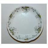 Schonbrunn Waterloo England transferware floral