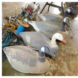 4 goose geese hunting decoys