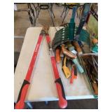 Garden tools:  Corona Super-Duty limb loppers -