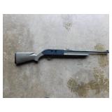 Crosman Torrent S-X .177 cal BB gun, works