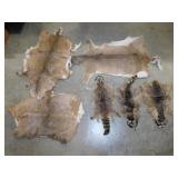 Tanned deer hides & raccoon hides