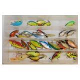 Fishing lures in 2 storage cases