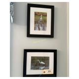 2 Framed Pictures of Herons