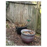 4 Potted Plants with Decorative Bird