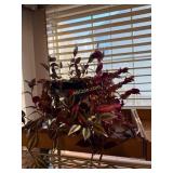 Tradescantia Zebrina Plant, Phalaenopsis Orchid