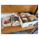 3 Boxes of Select Sea Shells