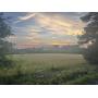82.25 +/- Ac on Reedy Creek Rd., Lunenburg, VA