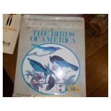Lg. Audubon bird book