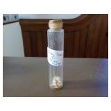Vial of Baby Teeth (8)