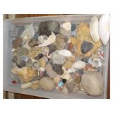 Shells, rocks, etc.