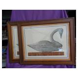 2 Wild Swan Decoy Framed Prints John Williams,