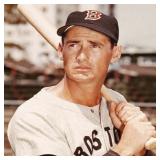 Ted Williams Collectibles