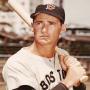 Ted Williams Collectibles