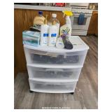 CONTAINER AND CONTENTS