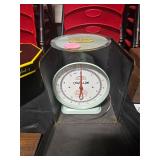 KITCHEN SCALES WITH CASE
