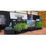 Fleckvieh Heritage Sale