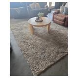 Shag carpet rug 8x10