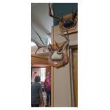 Large Whitetail Deer Antler Wall Mount