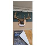 Large Deer Antler Wall Mount Trophy