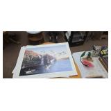 Early Arrivals - Maddox Bay Mallards Art Print