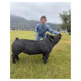 Cooper Parini, Hog, 789