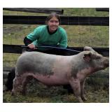 Karissa Shope, Hog, 751