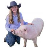 Lilly Sorensen, Hog, 778