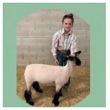 Aubree Smith, Lamb, 792
