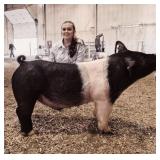 Kaylee Swoboda, Hog, 617
