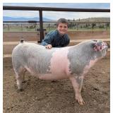 Jaxson Smith, Hog, 689