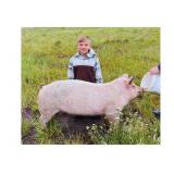 Bridger Smith, Hog, 756